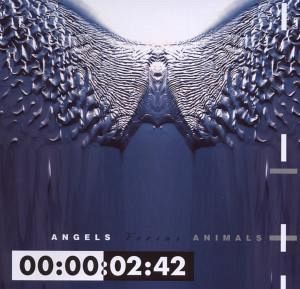 Angels Versus Animals Angels Versus Animals
