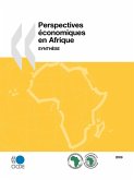 Perspectives économiques en Afrique 2009