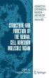 Structure and Function of the Neural... - Bild 1