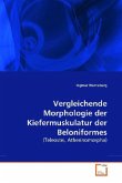Vergleichende Morphologie der Kiefermuskulatur der Beloniformes Vergleichende Morphologie der Kiefermuskulatur der Beloniformes