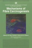 Mechanisms of Fibre Carcinogenesis