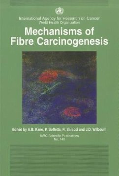 Mechanisms of Fibre Carcinogenesis - Kane, A B; Boffetta, P.; Saracci, Rodolfo; Wilbourn, J D