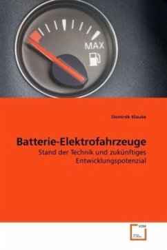 Batterie-Elektrofahrzeuge - Klauke, Dominik