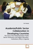 Academia/Public Sector Collaboration in Developing Countries