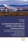 Co-Channel Interference in Satellite Links Utilizing Frequency Reuse