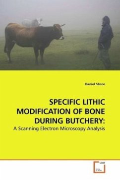 SPECIFIC LITHIC MODIFICATION OF BONE DURING BUTCHERY: - Stone, Daniel