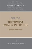 The Twelve Minor Prophets (Softcover)
