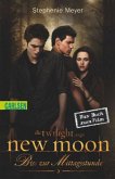 Bis(s) zur Mittagsstunde / Twilight-Serie Bd.2 / New Moon / Das Buch zum Film