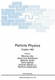 Particle Physics