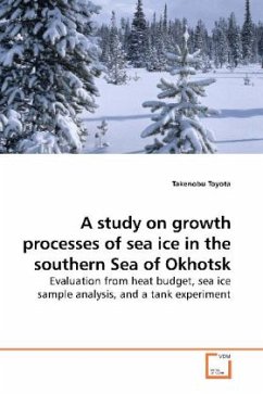 A study on growth processes of sea ice in the southern Sea of Okhotsk - Toyota, Takenobu