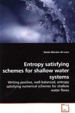 Entropy satisfying schemes for shallow water systems - Morales de Luna, Tomás