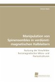 Manipulation von Spinensembles in verdünnt-magnetischen Halbleitern