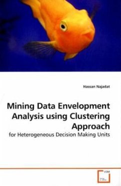 Mining Data Envelopment Analysis using Clustering Approach