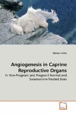 Angiogenesis in Caprine Reproductive Organs - Hafez, Shireen