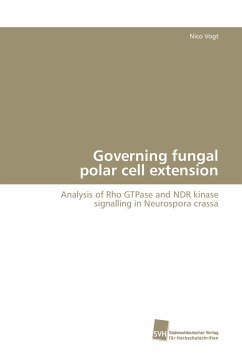 Governing fungal polar cell extension - Vogt, Nico