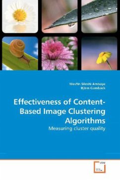 Effectiveness of Content-Based Image Clustering Algorithms - Sileshi Ambaye, Mesfin