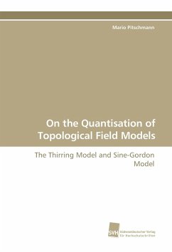 On the Quantisation of Topological Field Models - Pitschmann, Mario