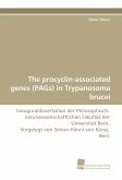 The procyclin-associated genes (PAGs) in Trypanosoma brucei