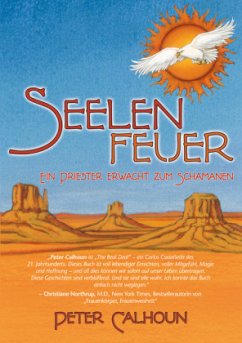 Cover Seelenfeuer