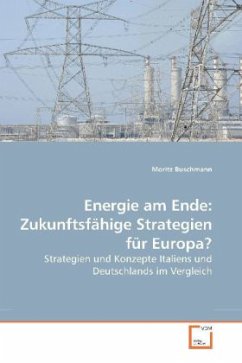 Energie am Ende: Zukunftsfähige Strategien für Europa? - Buschmann, Moritz