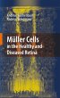 Müller Cells in the Healthy and... - Bild 1