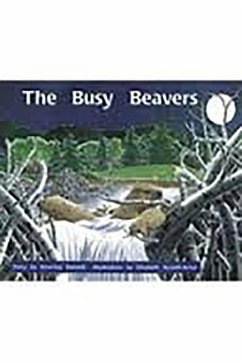 The Busy Beavers: Leveled Reader Bookroom Package Orange (Levels 15-16) - Rigby