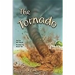The Tornado: Leveled Reader Bookroom Package Silver (Levels 23-24) The Tornado: Leveled Reader Bookroom Package Silver (Levels 23-24)