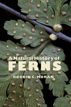 A Natural History of Ferns - Moran, Robbin C.