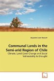 Communal Lands in the Semi-arid Region of Chile