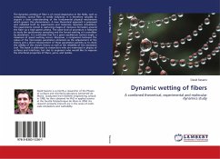 Dynamic wetting of fibers - Seveno, David