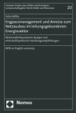 Engpassmanagement und Anreize zum Netzausbau im leitungsgebundenen Energiesektor