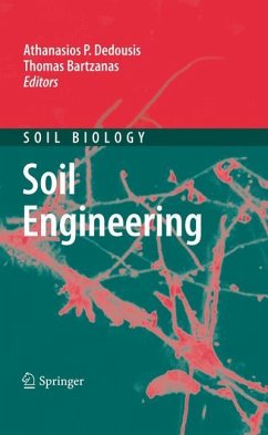 Soil Engineering - Dedousis, Athanasios P. / Bartzanas, Thomas (Hrsg.)