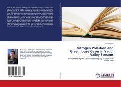 Nitrogen Pollution and Greenhouse Gases in Yaqui Valley Streams - Harrison, John