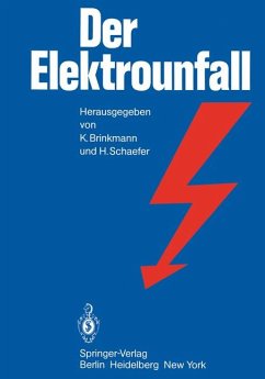 Der Elektrounfall - Brinkmann, K.; Schaefer, H.