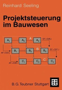 Projektsteuerung im Bauwesen - Seeling, Reinhard