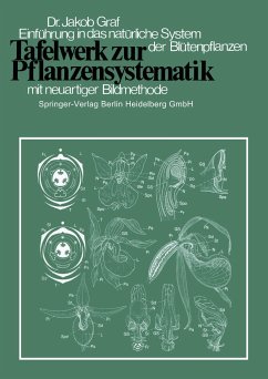 Tafelwerk zur Pflanzensystematik - Graf, J.