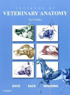 Textbook of Veterinary Anatomy - Dyce, Keith M.; Sack, Wolfgang O.; Wensing, Cornelis J. G.