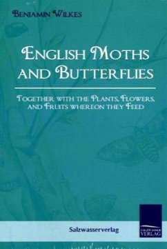 English Moths and Butterflies - Wilkes, Benjamin
