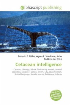 Cetacean intelligence