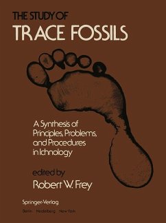 Cover Study of Trace Fossils.