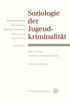 Soziologie der Jugendkriminalität