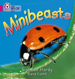 Minibeasts - Hardy, Siobhan