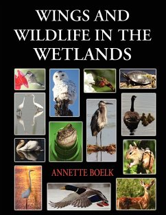 Wings and Wildlife in the Wetlands - Boelk, Annette