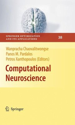 Computational Neuroscience - Chaovalitwongse, Wanpracha / Pardalos, Panos M. / Xanthopoulos, Petros (Hrsg.)