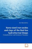 Nano-sized iron-oxides and clays of the Red-Sea hydrothermal Deeps