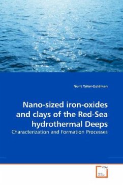 Nano-sized iron-oxides and clays of the Red-Sea hydrothermal Deeps - Taitel-Goldman, Nurit