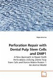 Perforation Repair with Dental Pulp Stem Cells and DMP1