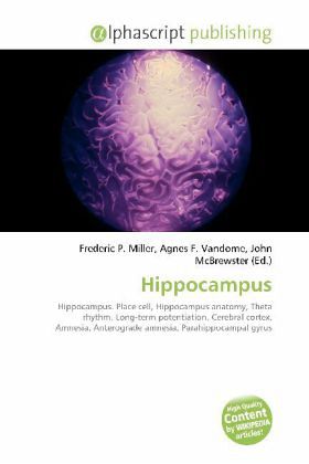 Hippocampus Hippocampus