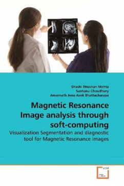 Magnetic Resonance Image analysis through soft-computing - Mehta, Shashi Bhushan