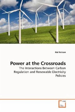 Power at the Crossroads - Nelson, Hal